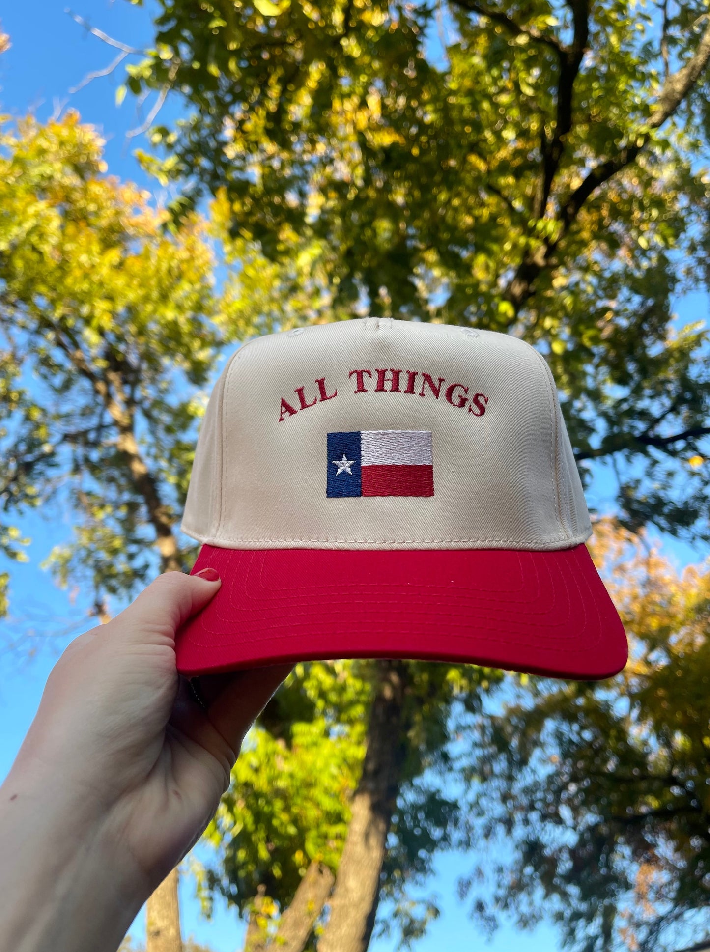 All Things Texas Trucker Hat